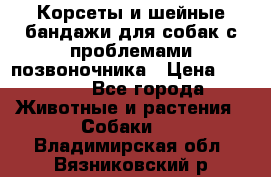 Корсеты и шейные бандажи для собак с проблемами позвоночника › Цена ­ 2 500 - Все города Животные и растения » Собаки   . Владимирская обл.,Вязниковский р-н